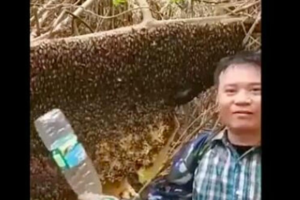 DA LI JE MOGUĆE? UZEO DA UDARA OSINJAK FLAŠOM PA NESLAVNO ZAVRŠIO: Pobednik dana! (VIDEO)