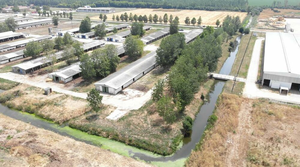 Al Dahra, Očišćeni kanali