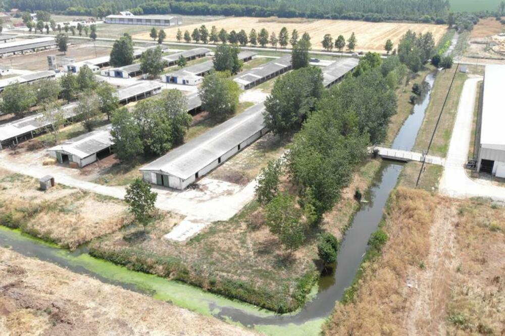 EKOLOŠKI PROJEKAT ZA SPAS: Kompanija Al Dahra očistila kanale morskim algama i tako rešila višedecenijski