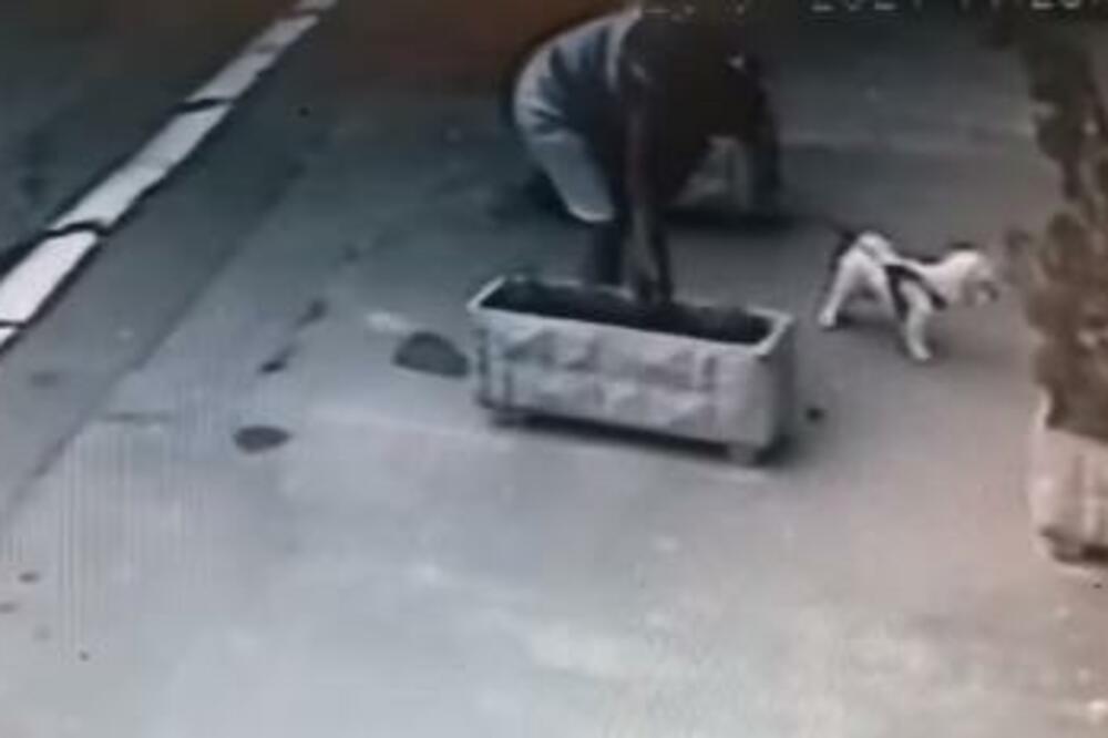 "GOSPOĐA" IZ VOJVODE VLAHOVIĆA RAZBESNELA POTEZOM: Šetala psa, pa bez imalo SRAMA uradila OVO! (VIDEO)