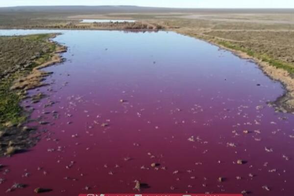ŠTA SE TO DEŠAVA? Meštani zabrinuti, jezero Korfo neočekivano poprimilo RUŽIČASTU BOJU, stvar nije za šalu (VIDEO)
