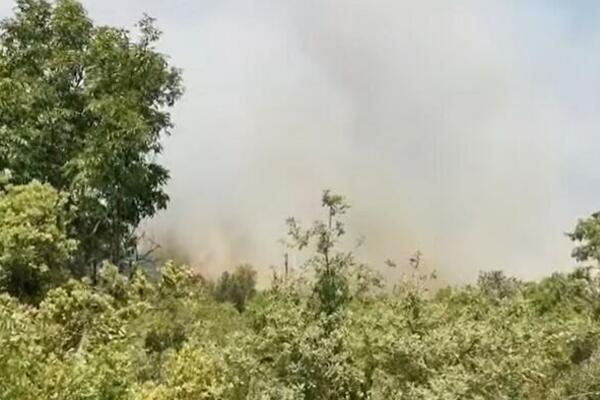 ŠIRE PODRUČJE NEUMA ZAHVATIO POŽAR: Vatra pretnja objektima, naročito bivšoj tvornici pluta