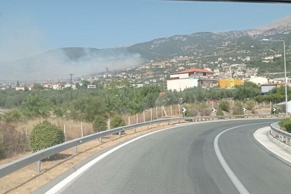 OGROMAN POŽAR U GRČKOJ: Vatrogasci se bore sa vatrenom stihijom, stanovništvo hitno EVAKUISANO! (FOTO/VIDEO)