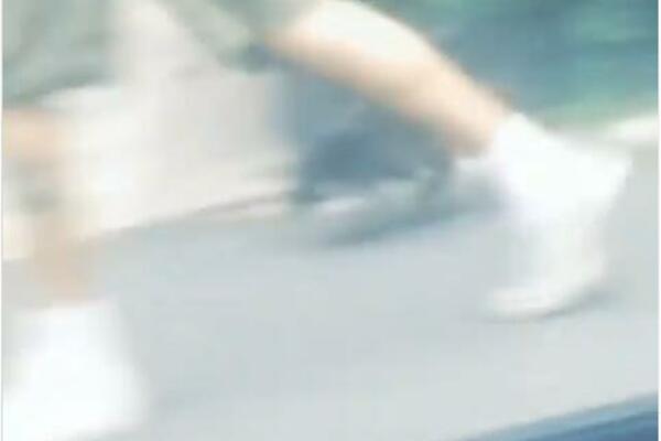 ŠTA TO ŠETA ULICAMA MIRIJEVA?! Prolaznici u šoku, ovu životnju baš retko viđamo (VIDEO)