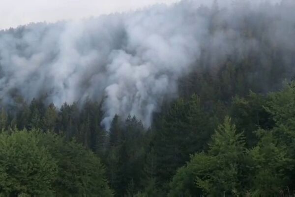 GRČKI VATROGASCI SE BORE SA 2 VELIKA POŽARA: Temperature preko 40 stepeni otežavaju gašenje VATRENE STIHIJE (VIDEO)