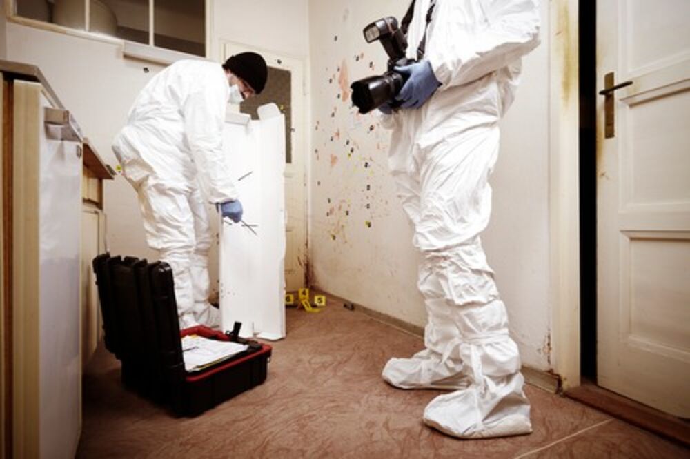 Forenzičari/Ilustracija