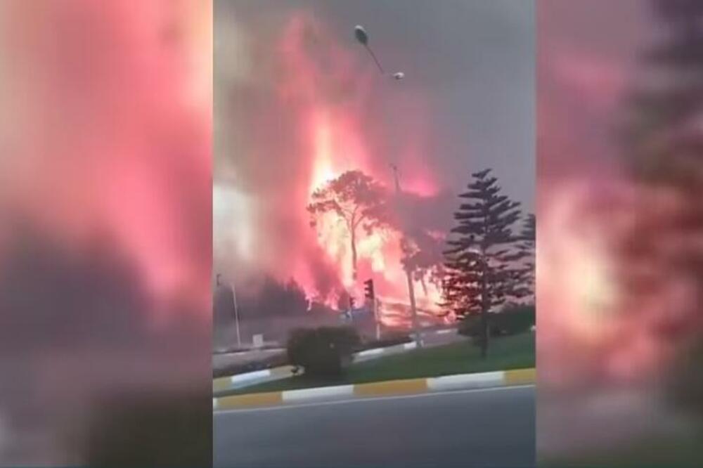 TURSKU ZAHVATIO VELIKI ŠUMSKI POŽAR! Vatra na sve strane, najmanje TRI osobe IZGUBILE ŽIVOT! (VIDEO)