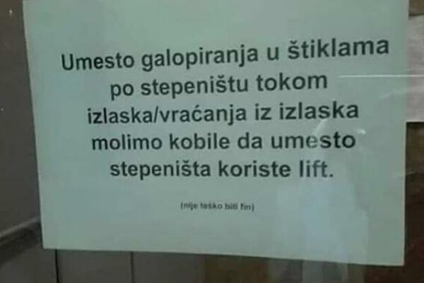 SRAMNA PORUKA JEDNOG STANARA ZGRADE! Nazvao komšinice "kobilama" iz krajnje bizarnog razloga, pa zavladao HAOS!