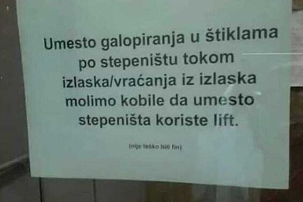 SRAMNA PORUKA JEDNOG STANARA ZGRADE! Nazvao komšinice "kobilama" iz krajnje bizarnog razloga, pa zavladao HAOS!