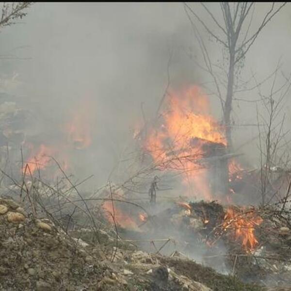 GORI DOLINA LEPTIRA, POŽAR U JEDNOJ OD OMILJENIH SRPSKIH DESTINACIJA: Veći deo grčkog ostrva ostao bez struje!