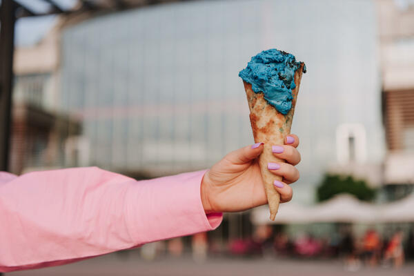 Festival sladoleda u Galeriji