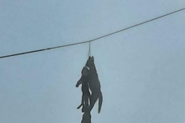 IDENTIFIKOVANI POČINIOCI ZLOSTAVLJANJA ŽIVOTINJA U SRBOBRANU: Dvojica maloletnika (16) odgovorna za JEZIV PRIZOR?