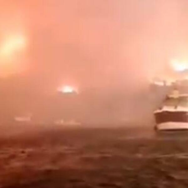 STRAVIČAN SNIMAK PAKLA! TURSKE OBALE GORE PETI DAN ZAREDOM: Čitav ekosistem uništen (VIDEO)