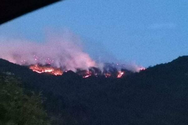 NAJNOVIJE FOTOGRAFIJE POŽARA NA MOKROJ GORI: Upućeno još 82 vatrogasca sa teškom mehanizacijom (FOTO/VIDEO)