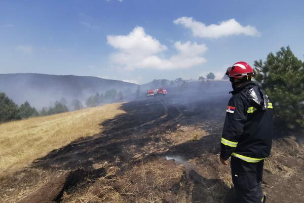 LOKALIZOVAN POŽAR U BLIZINI RIJEKE: Vatrogasne ekipe ostaju na terenu i tokom noći