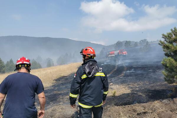 SPASILI NASELJE OD 40 KUĆA: Srpski HEROJI se vratili iz GRČKE, susret sa PORODICAMA bio VIŠE NEGO EMOTIVAN