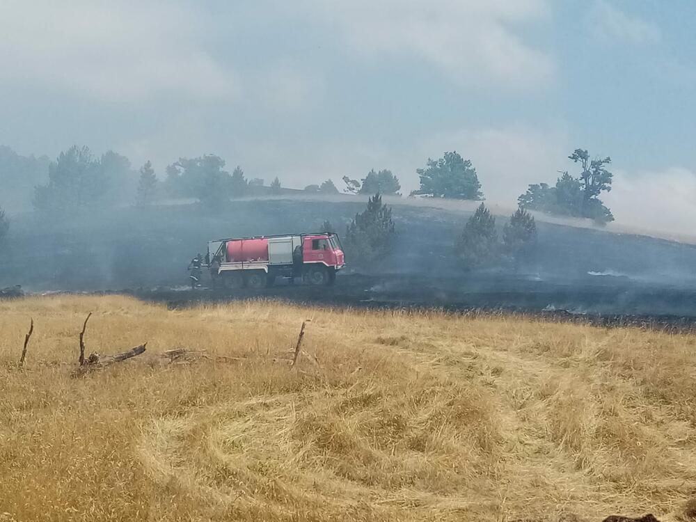 Požar, Šumski požar, Nova Varoš