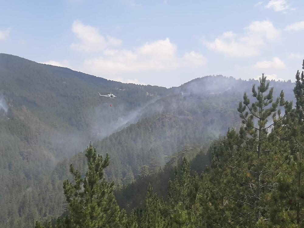 Požar, Šumski požar, Nova Varoš