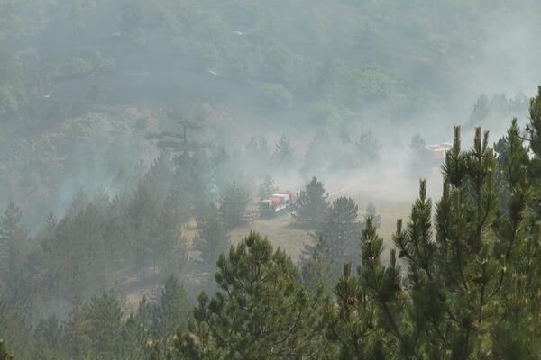 POŽAR NA PLANINI ŽABA I DALJE AKTIVAN: Potrebna pomoć helikoptera