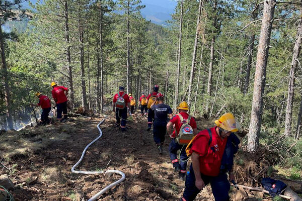 NAŠI TIHI HEROJI: Dobrovoljci iz cele zemlje ujedinili se da bi ugasili požar na Mokroj Gori!
