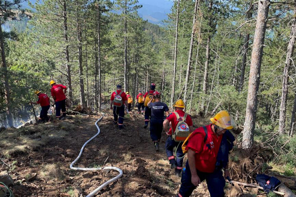 NAŠI TIHI HEROJI: Dobrovoljci iz cele zemlje ujedinili se da bi ugasili požar na Mokroj Gori!