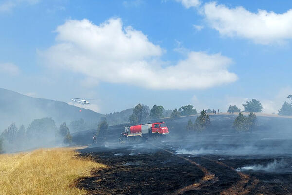 NA MOKROJ GORI UVEDENA VANREDNA SITUACIJA: Zbog vetra požar nosi sve!