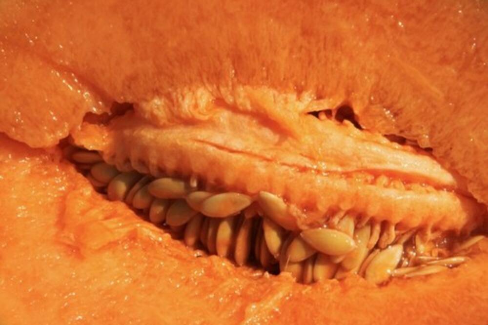 IZJAVE DECE NASMEJALE SVE DO SUZA: Ovako oni opisuju POLNE ORGANE