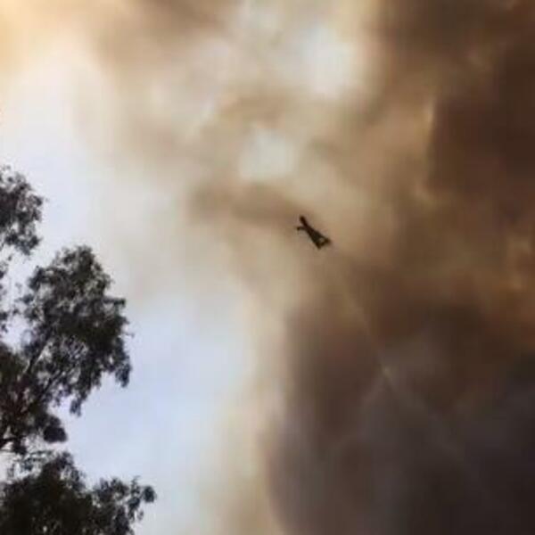 POŽAR KOD SEGETA GORNJEG UGASILO PREKO 100 VATROGASACA! Vatra je zahvatila i Trnovicu, gde je u toku gašenje!