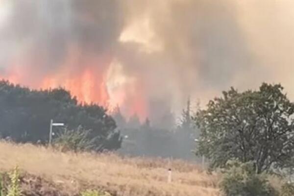 VELIKI POŽAR KOD PEĆI, GORI 60 HEKTARA: Ugroženo 10 porodica, potrebna hitna evakuacija