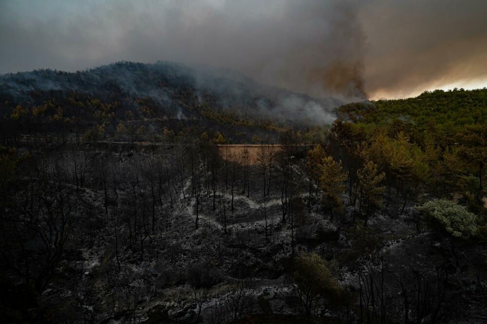 BUKTI POŽAR KOD BODRUMA: Vatrena stihija se poširila na 4 naselja, ljudi morali da NAPUSTE domove! (FOTO/VIDEO)