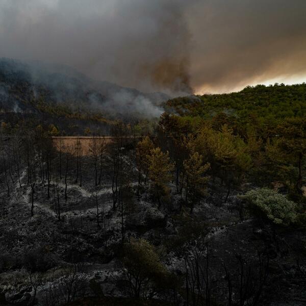 BUKTI POŽAR KOD BODRUMA: Vatrena stihija se poširila na 4 naselja, ljudi morali da NAPUSTE domove! (FOTO/VIDEO)