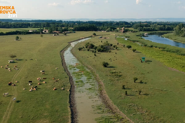 ZASAVICA-BISER MAČVE! Ovde postoje organizmi stari PET HILJADA GODINA! (FOTO)