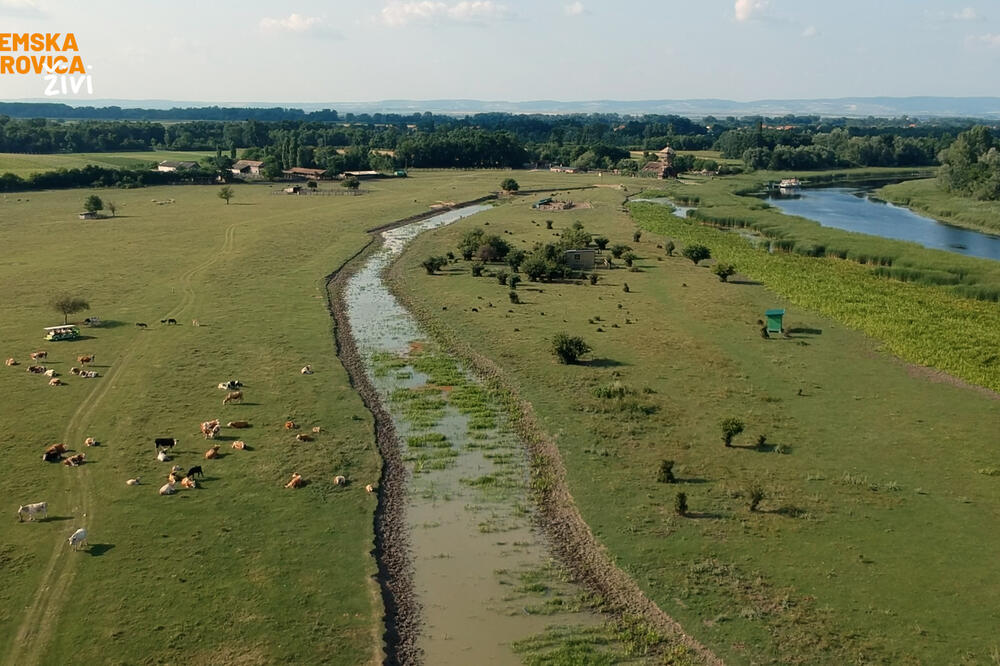 ZASAVICA-BISER MAČVE! Ovde postoje organizmi stari PET HILJADA GODINA! (FOTO)