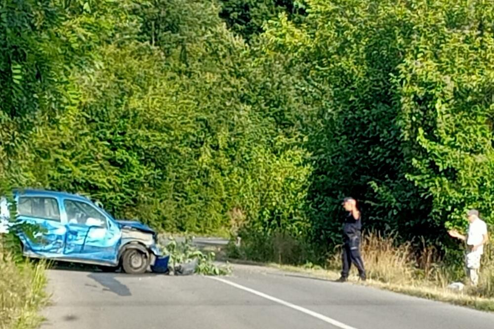 NESREĆA KOD DESPOTOVCA: Auto smrskan na putu, pored njega leži drvo (FOTO)