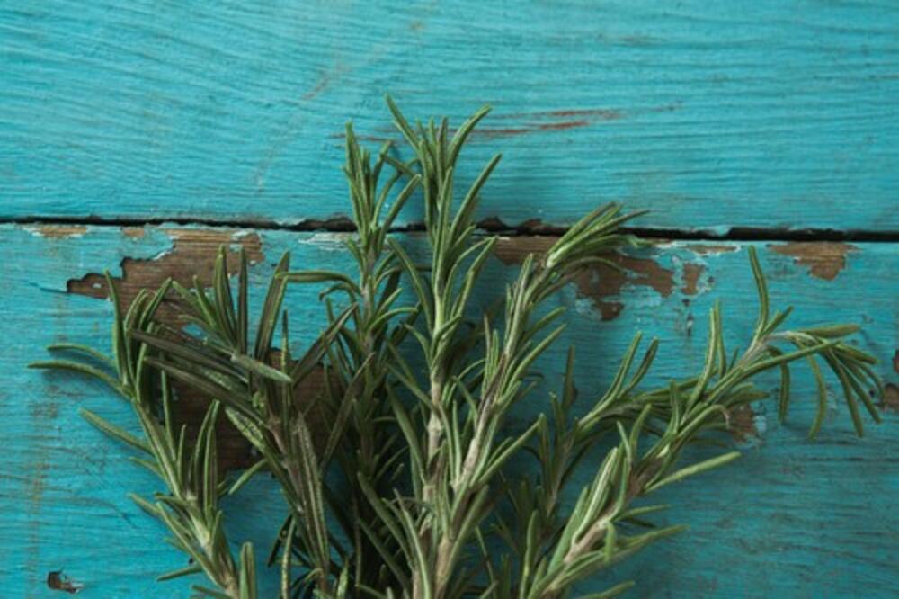 PRI RUCI SU VAM: Biljke koje smanjuju rizik od nastanka TROMBOZE