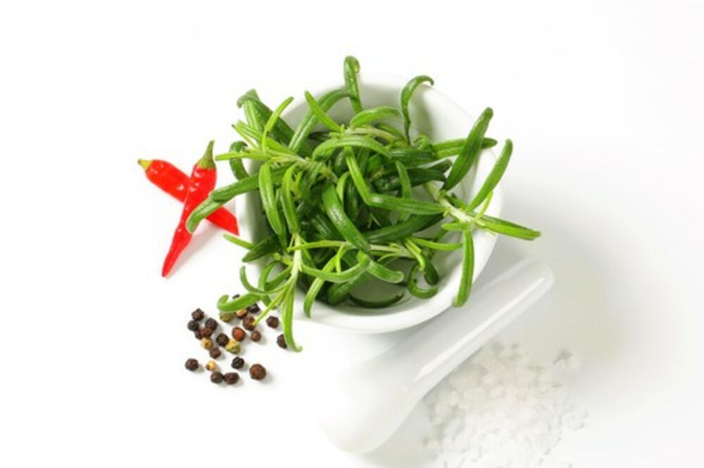 OVA MAGIČNA BILJKA U KUĆAMA SE KORISTI KAO AMAJLIJA: Morate da je NABAVITE, evo zbog ČEGA