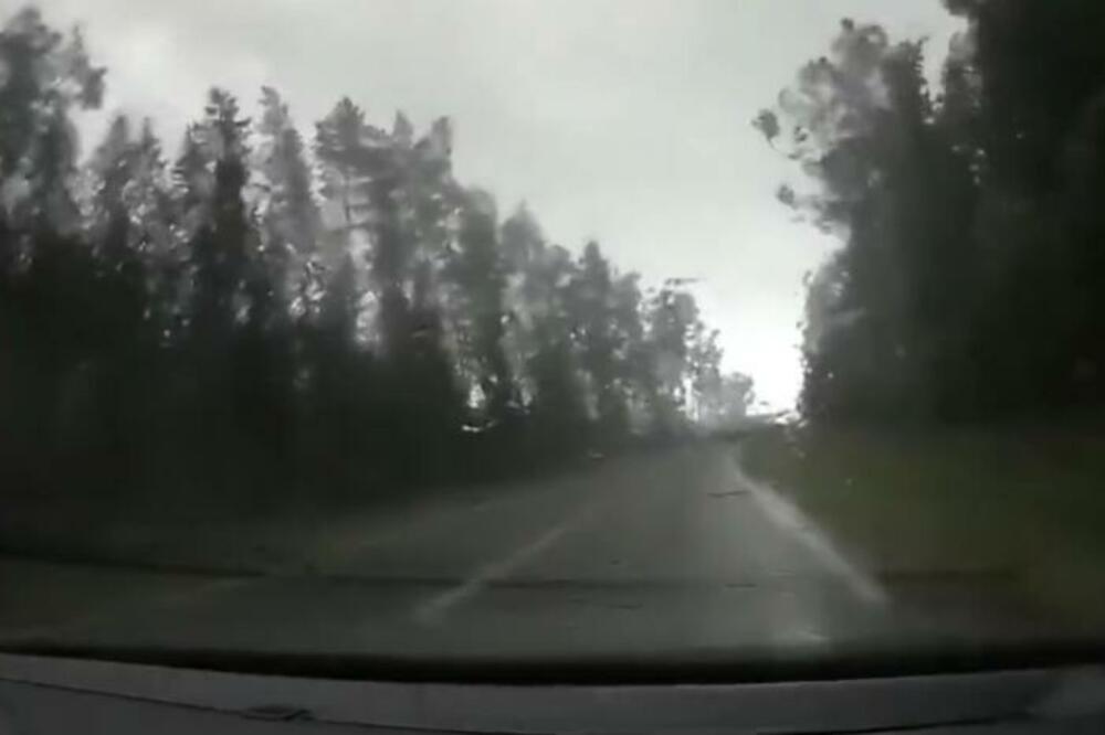 APOKALIPTIČAN SNIMAK IZ BELORUSIJE! Uragan NOSI DRVEĆE, ljudi jedva izvukli žive glave (VIDEO)