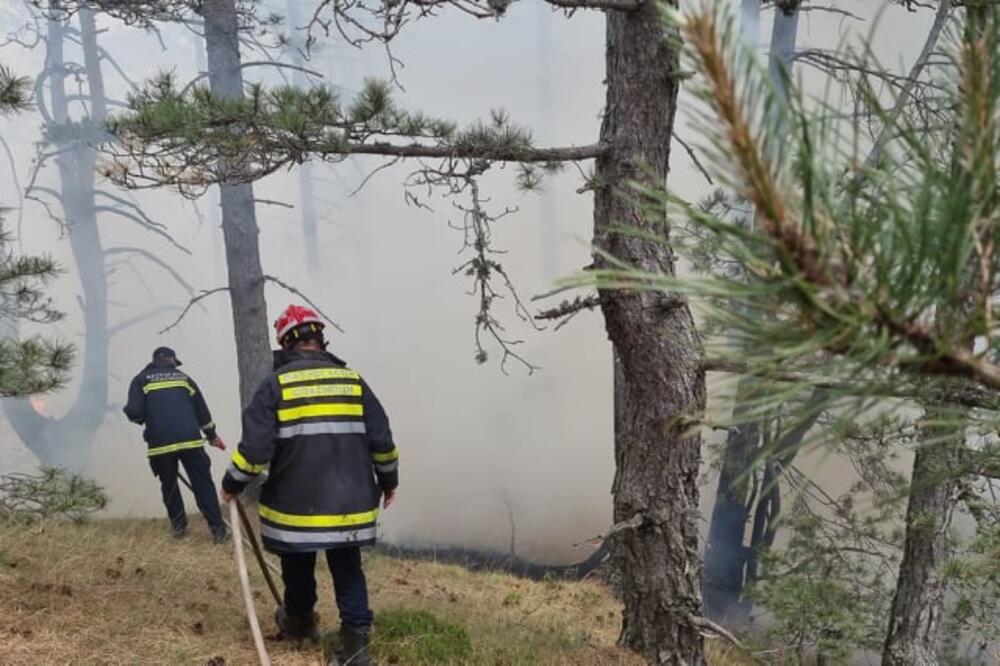 BUKTE POŽARI NA SRPSKIM PLANINAMA: Vatrogasci rade danju i noću!