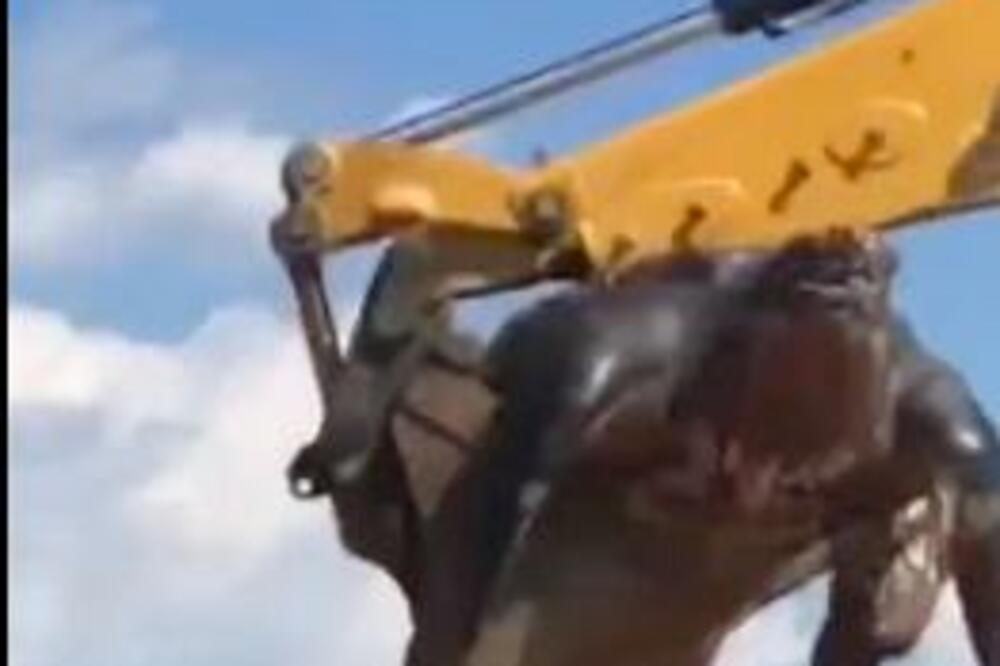 KAKVO JE OVO ČUDOVIŠTE??? Svi se čude snimku na kojem je OGROMNA kornjača! (VIDEO)