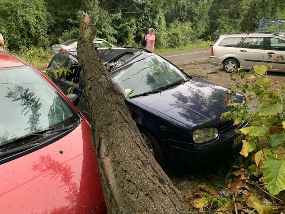 Stablo na automobilu