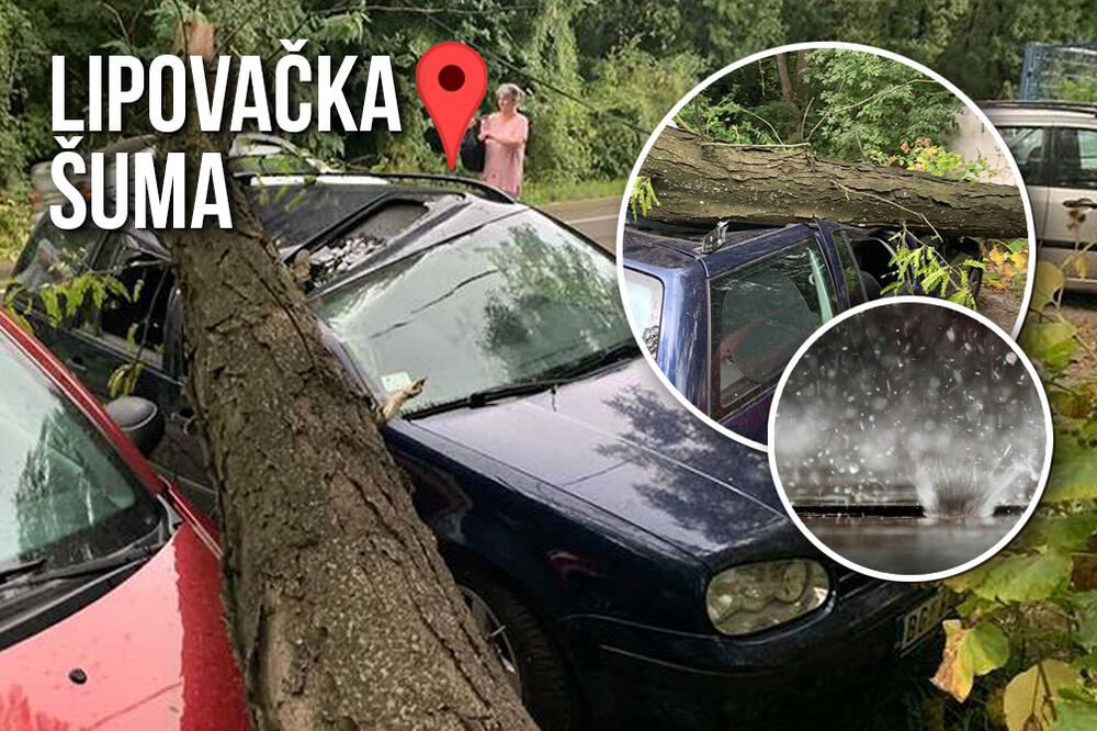 BEOGRAĐANINU DRVO KOJE JE PALO U OLUJI UNIŠTILO AUTO: Ali ovo je bio samo početak PAKLA koji proživljava (FOTO)
