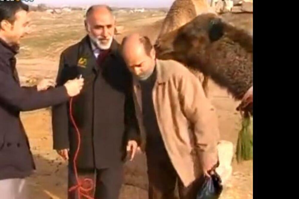 A SAMO JE HTELA MALO LJUBAVI: Plakaćete od smeha kada vidite šta je jednom nesrećiku URADILA KAMILA! (VIDEO)