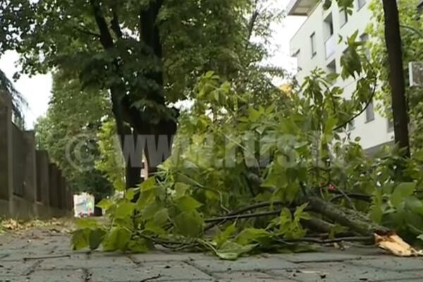 OLUJNO NEVREME POGODILO JE BANJALUKU: Vetar šibao sve pred sobom! (VIDEO)
