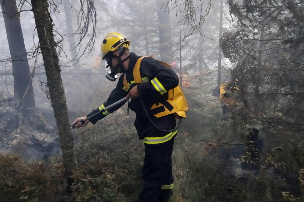 VATRENA STIHIJA NA ZLATIBORU I TARI JE POD KONTROLOM: Požar na Murtenici lokalizuje 82 vatrogasca! (FOTO)