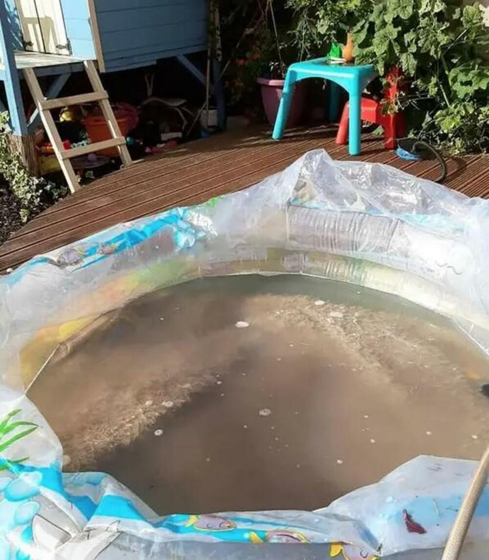 Tepih namočen u vodu