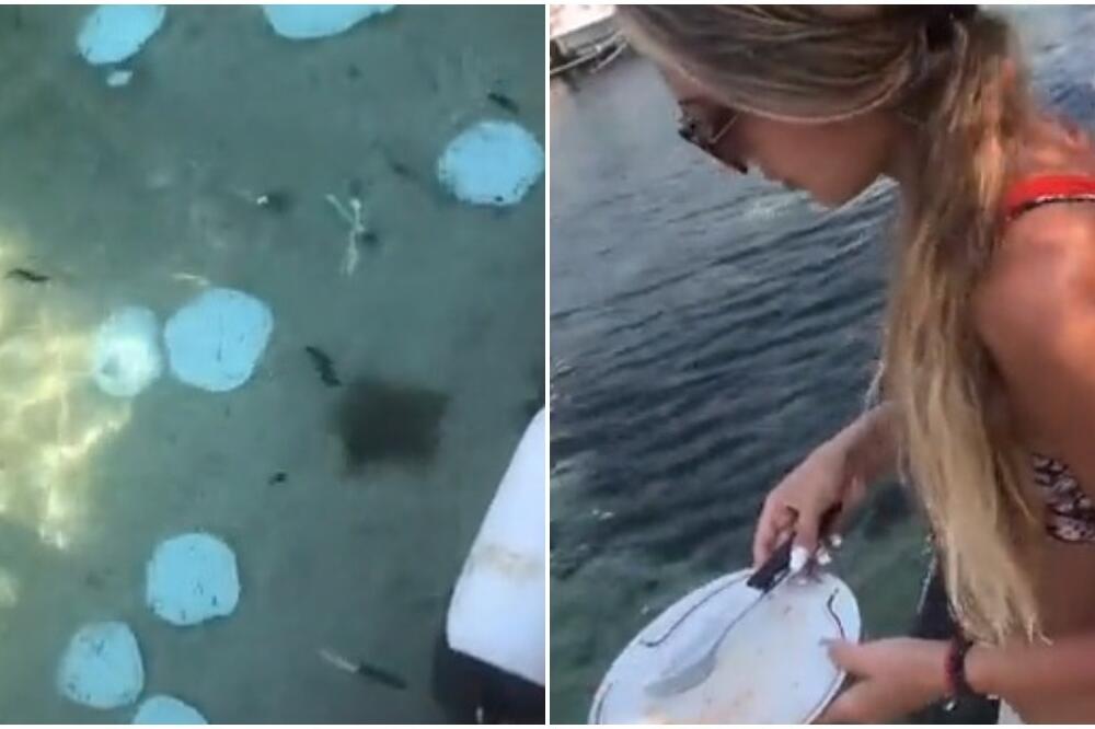 "ŠTA MOJA BEBA RADI SAD, PERE SUDOVEEE?!" Srbin snimao devojku kako baca PRLJAVE TANJIRE U MORE, pale TEŠKE UVREDE!