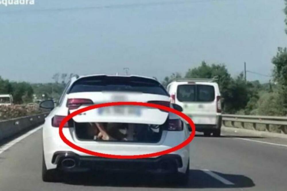 ZAMALO DA ZAVRŠI U ZATVORU! Vozač došao na rizičnu ideju, samo da vidite ŠTA je prevozio u PRTLJAŽNIKU!