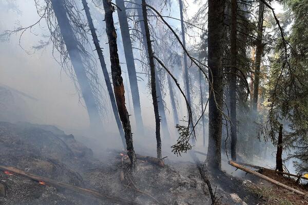 BUKNULI POŽARI U PULI! Vatrogasne jedinice na terenu