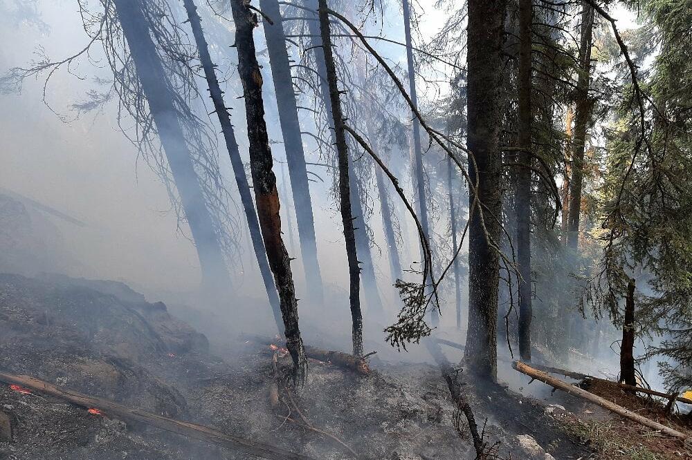BUKNULI POŽARI U PULI! Vatrogasne jedinice na terenu
