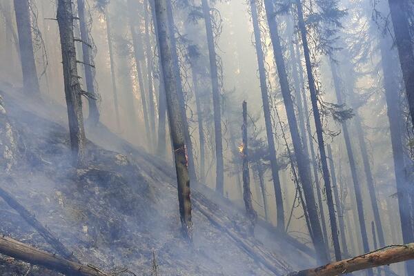 PLAMEN KOD PULE "GUTA" SVE PRED SOBOM